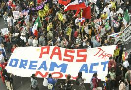 Dream Act Supporters (Associated Press)