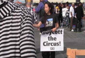 Activist Christina Cho protested against what she claimed was the mistreatment of animals. (Irene Byon/ ATVN)
