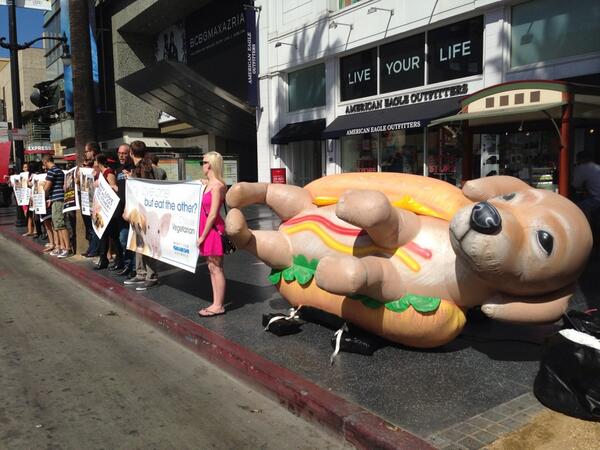 The inflatable dog can be seen along Hollywood Boulevard.