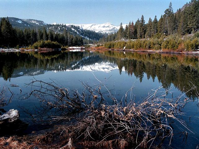 Donner Memorial State Park is one of many California parks(Photo courtesy AP).