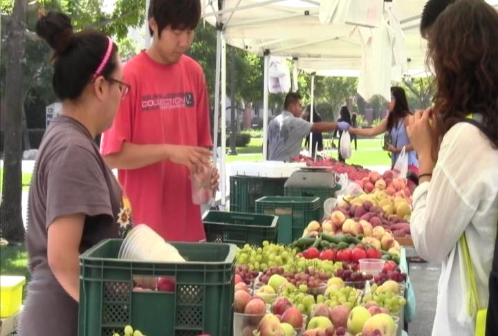 The Farmer's Market will be held every week in McCarthy Quad. (Faith Miller / ATVN) The Farmer's Market will be held every week in McCarthy Quad. (Faith Miller / ATVN)