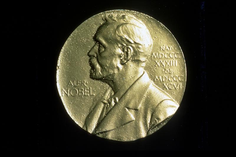 Nobel Prize winners in medicine helped identify a severe form of epilepsy in children with their research. (Wikimedia Commons) 
