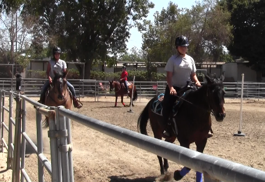 Girls learn basic barn manners before saddling up on the horses. (Vicki Chen/ATVN)