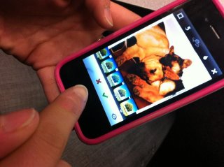 Instagram users can now view their snapshots on their phones and on their new website (Photo by ATVN).